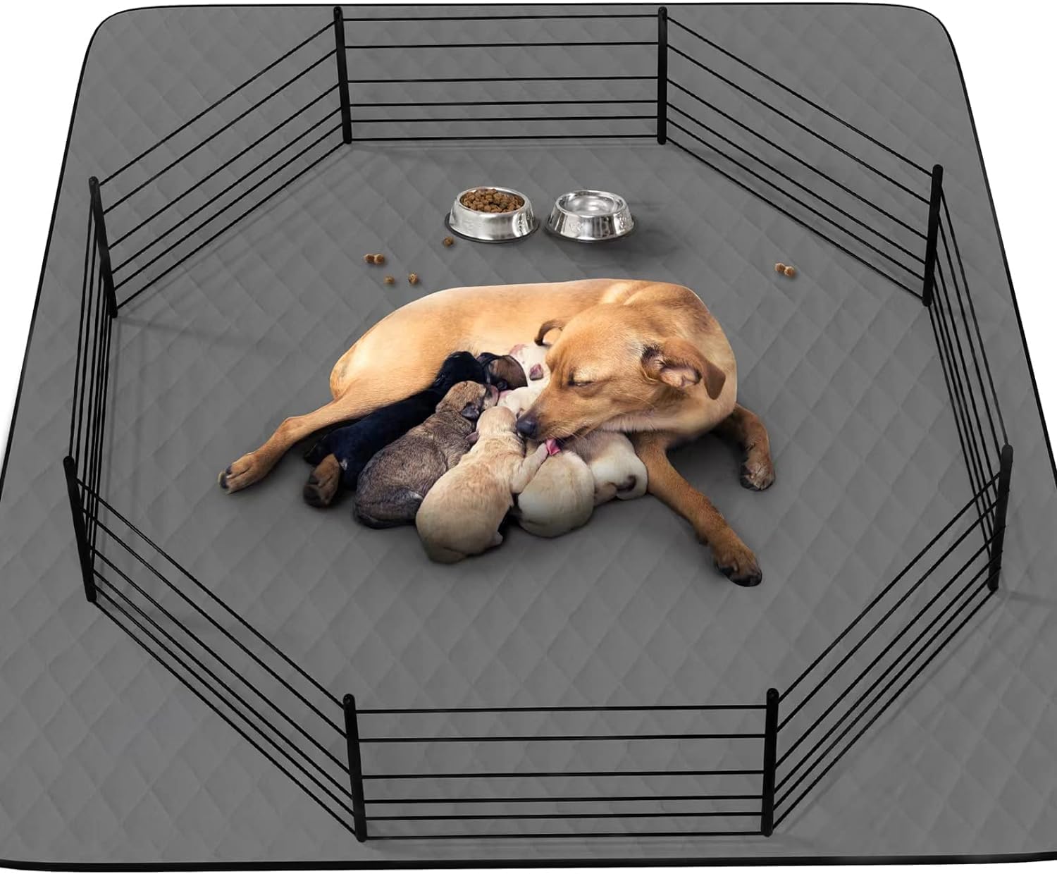 CoolShields washable puppy pad waterproof layer protects floors during training and messes