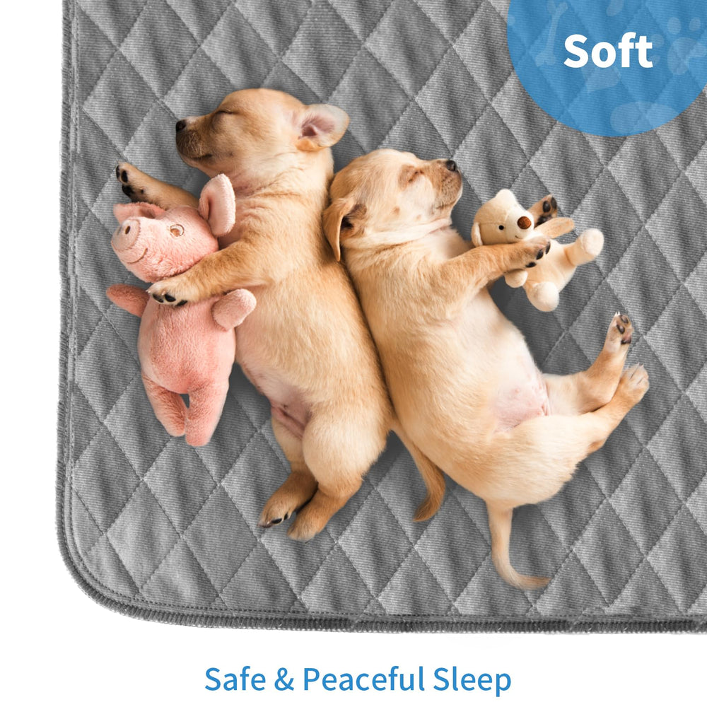 CoolShields Washable Puppy Pad-car-trunk offers portable protection during travel.