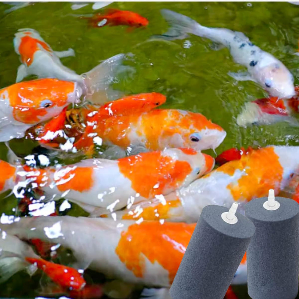COOMATEC aquarium diffuser stone care with proper cleaning and maintenance