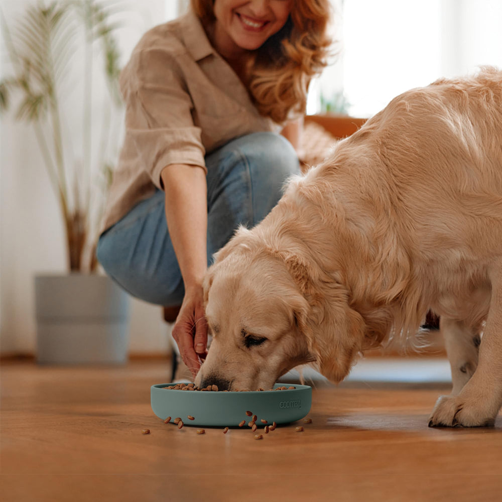 Coomazy meal pace aid extends mealtime for mindful eating.