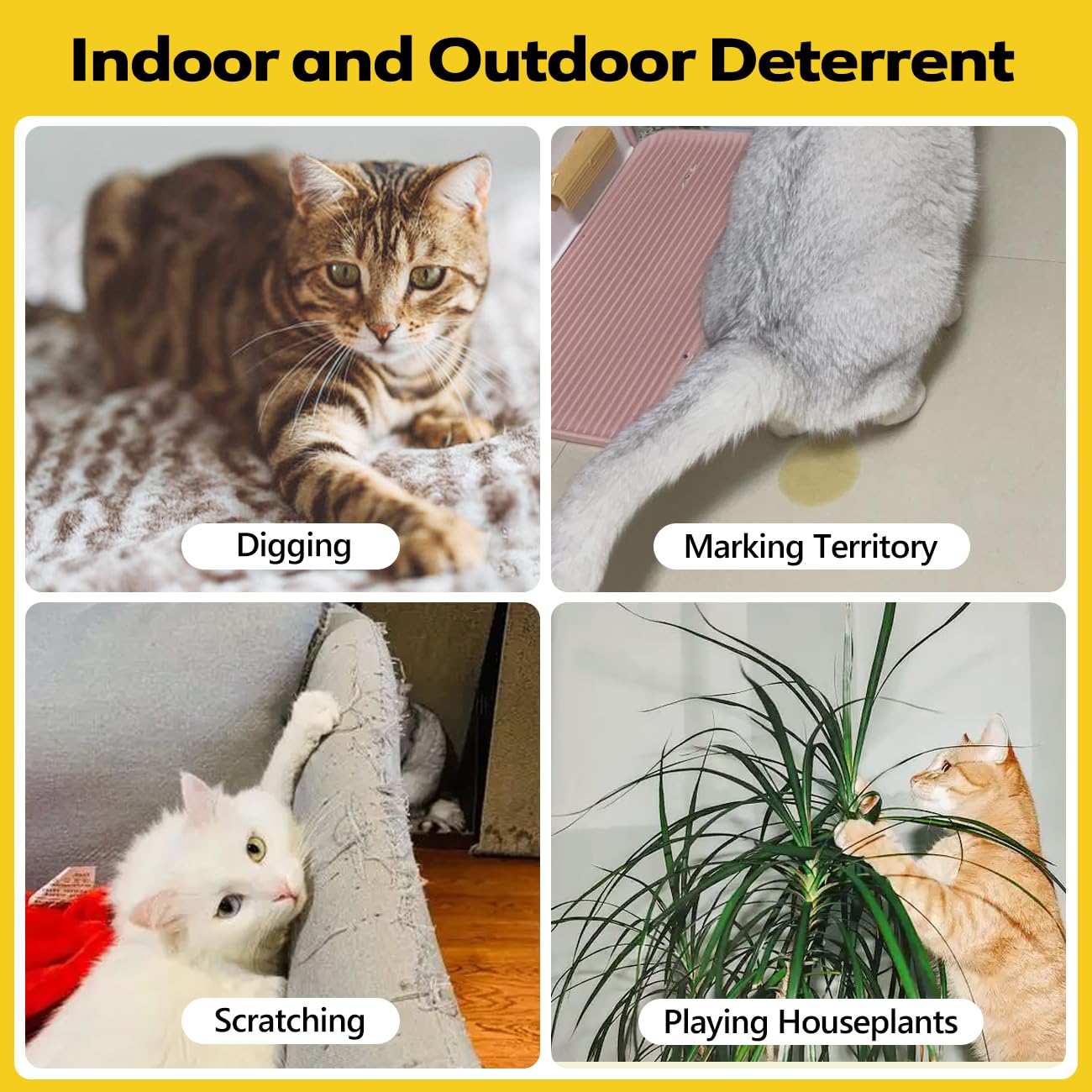 Coomly garden edge protection showing pouches deterring neighborhood cats