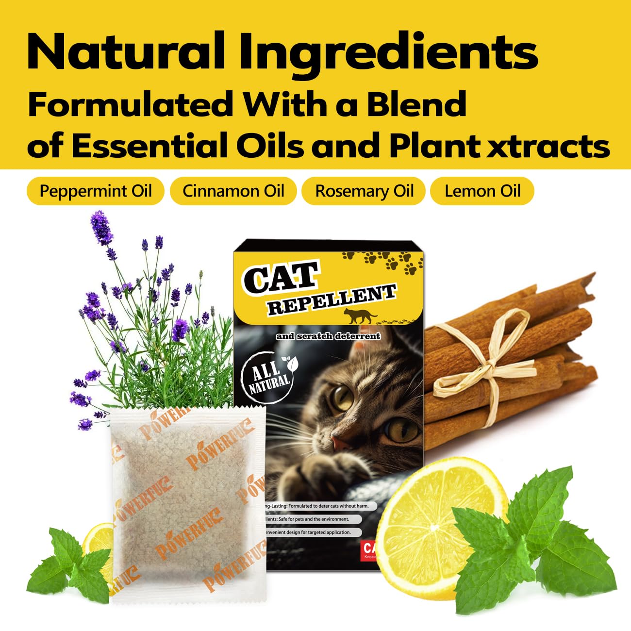 Coomly indoor-outdoor scene with cat deterrent in use near trash bins