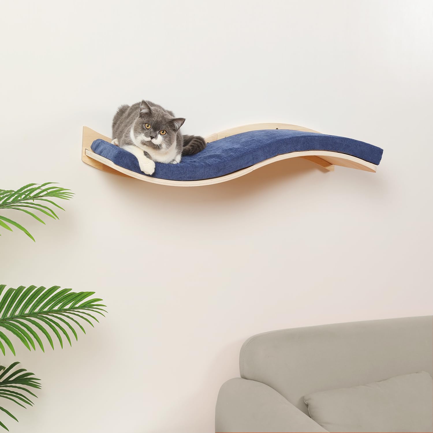 Cooolex cat wall shelf showing premium wood construction and durable design