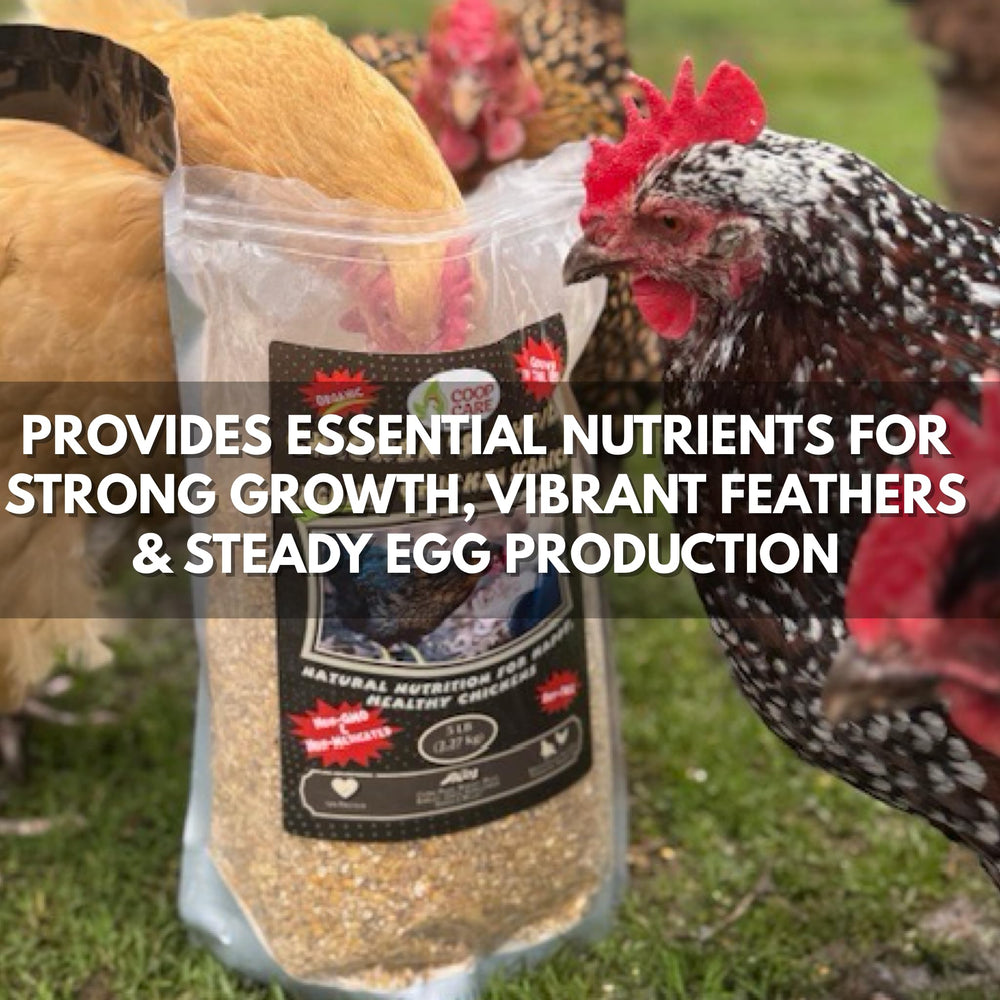 Coop Care Chicken’s Choice organic blend close-up showing non-GMO, soy-free nutrition