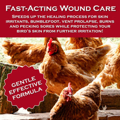 Coop Care Chicken's Choice spray used on a vent area for vent prolapse care