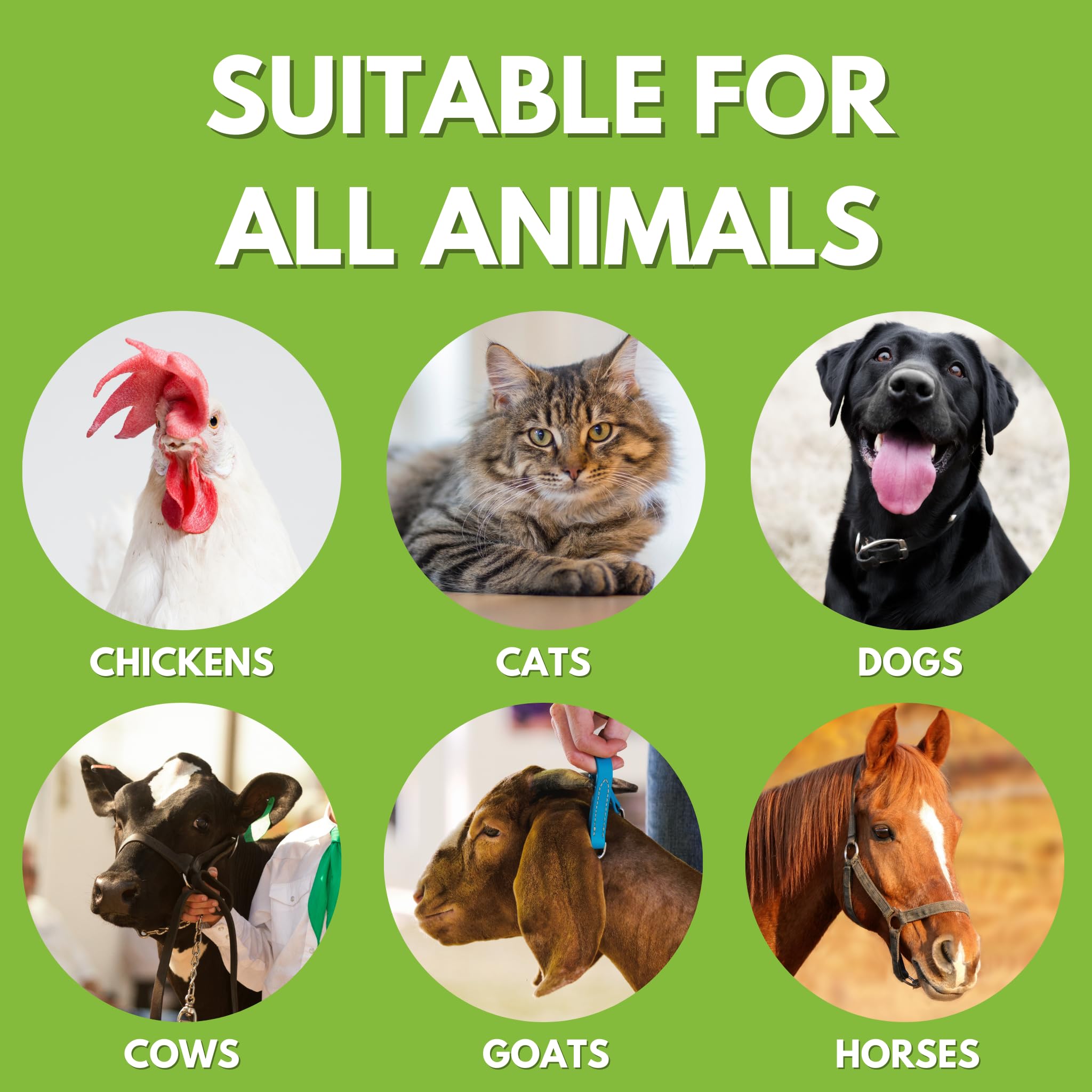 Vet-recommended Coop Care Chicken's Choice wound care used on birds.