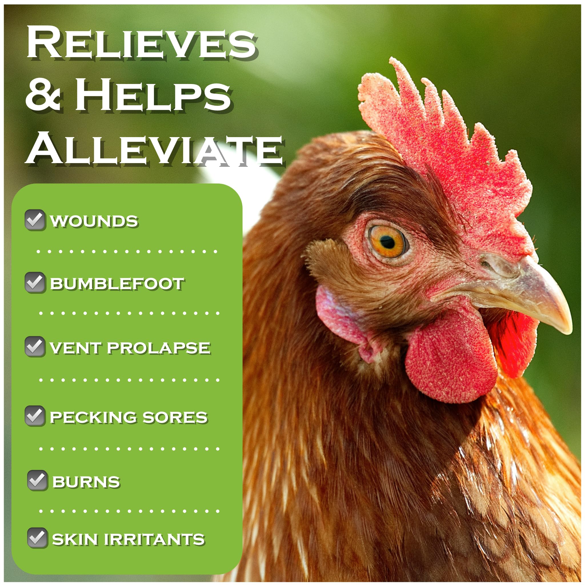 Coop Care Chicken's Choice spray applied to a chicken foot for bumblefoot care