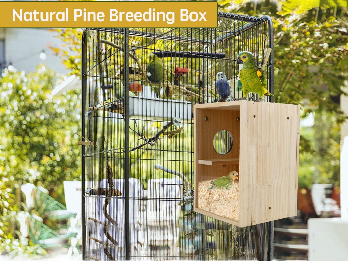 CooShou nest-box compatible-parrots demonstrates suitability for budgie, cockatiel, and lovebirds.
