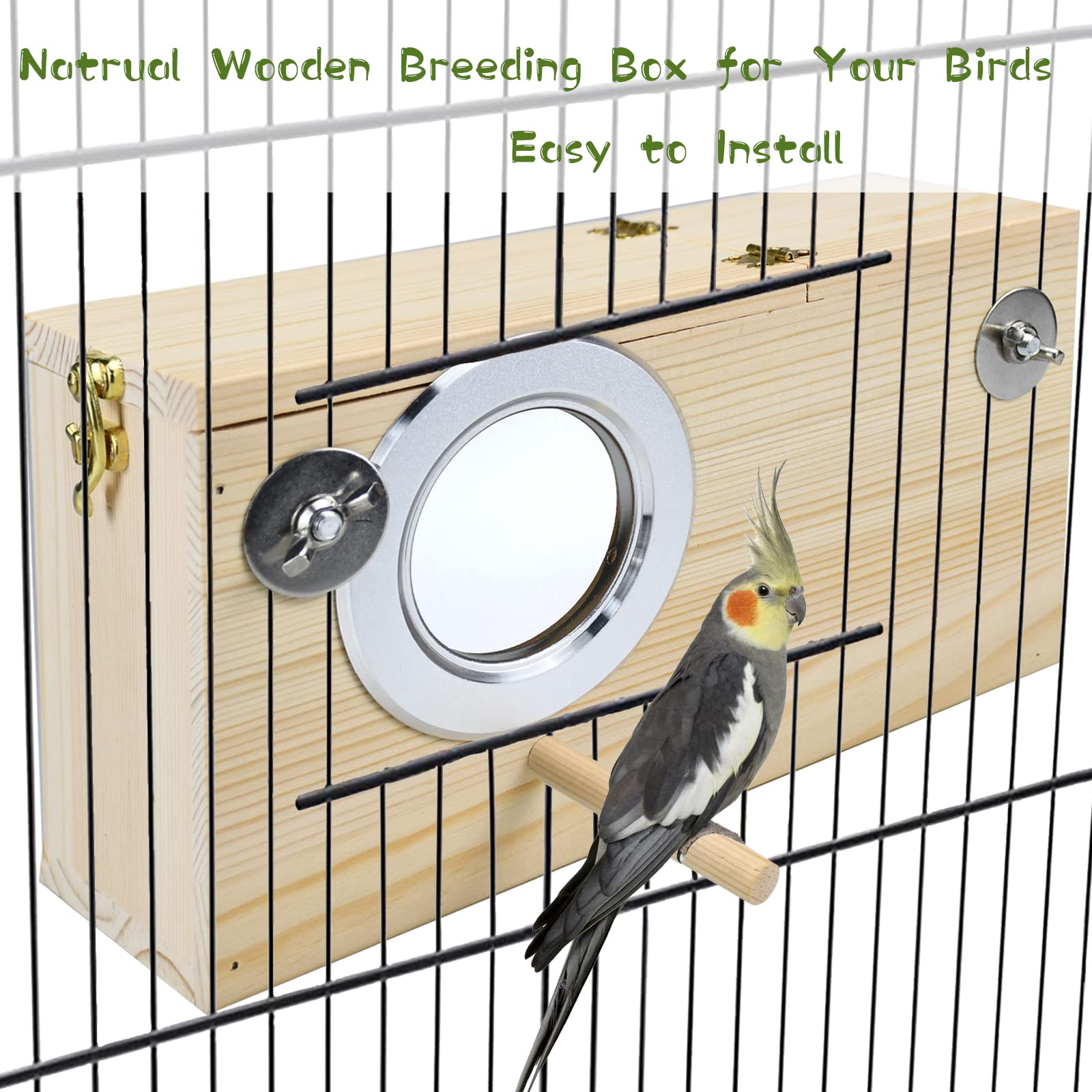 CooShou parakeet nesting box interior compartment protects eggs during observation.