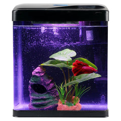 COOSPIDER Betta Tank 2Gal Glass shows crystal-clear water in a compact desktop setup.