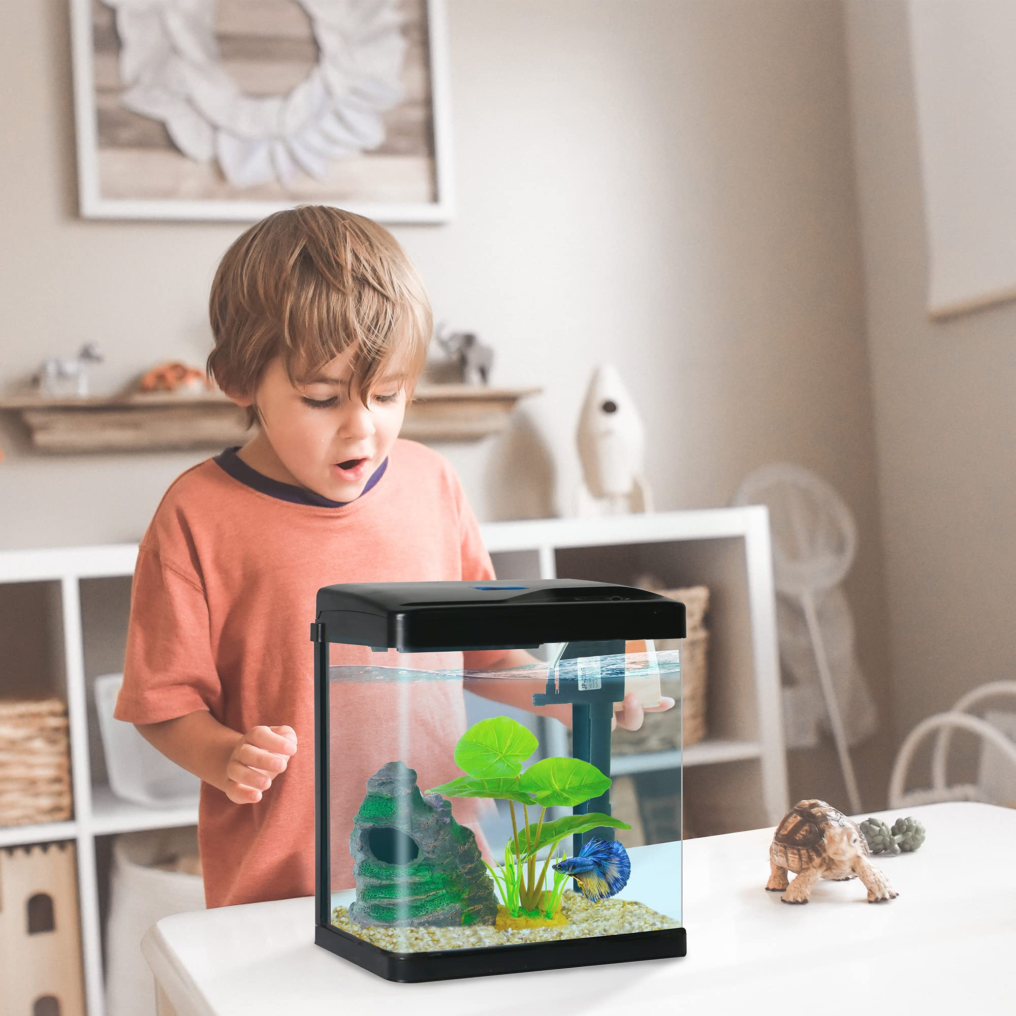 COOSPIDER Betta Tank front view highlights scratch-resistant glass and smooth edges.
