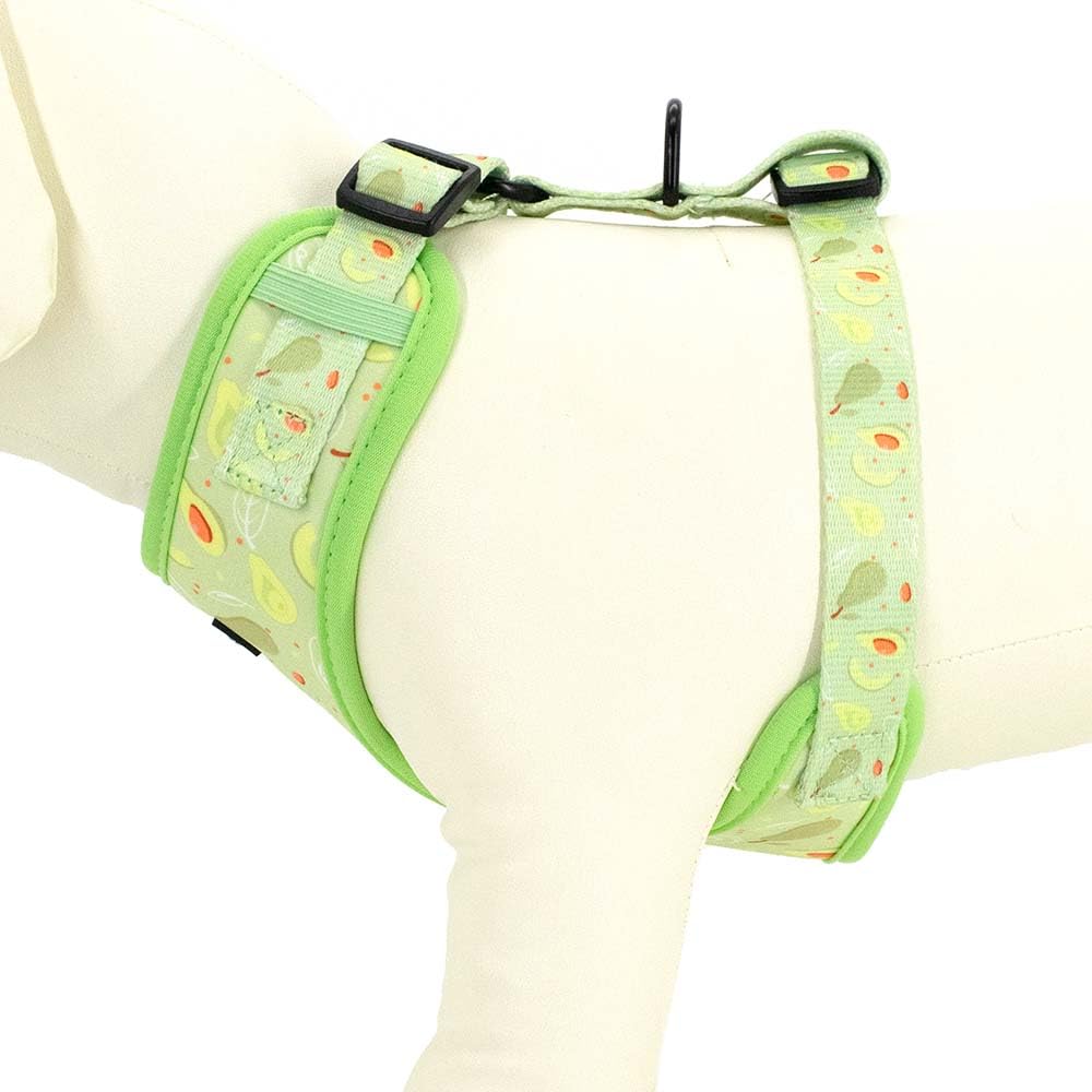 COOWONE adjustable strap and leash image emphasizes secure fit and versatile sizing