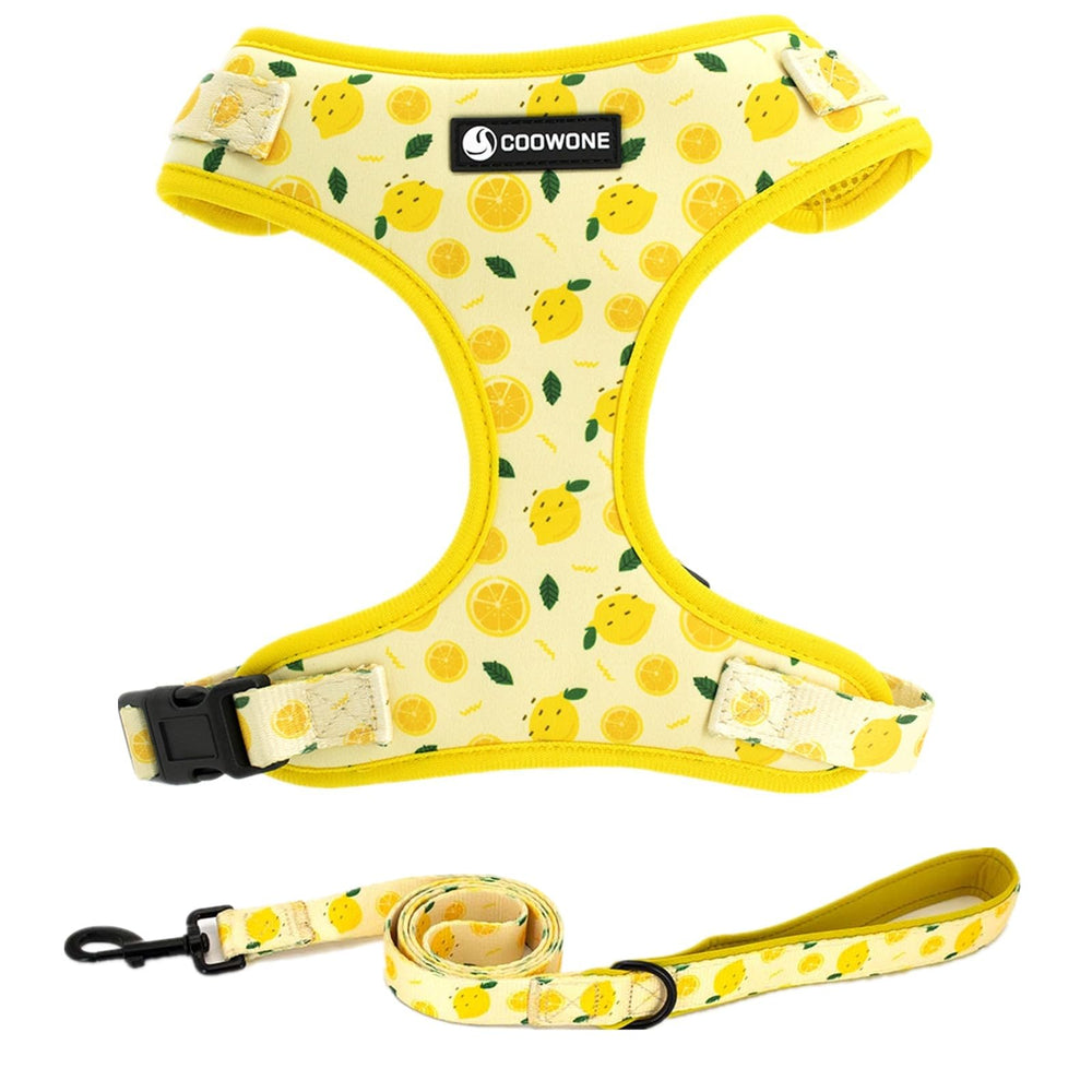 Arnés COOWONE para perro con diseño colorido, ideal para paseos diarios.