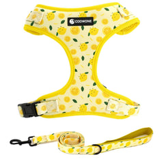 Arnés COOWONE para perro con diseño colorido, ideal para paseos diarios.