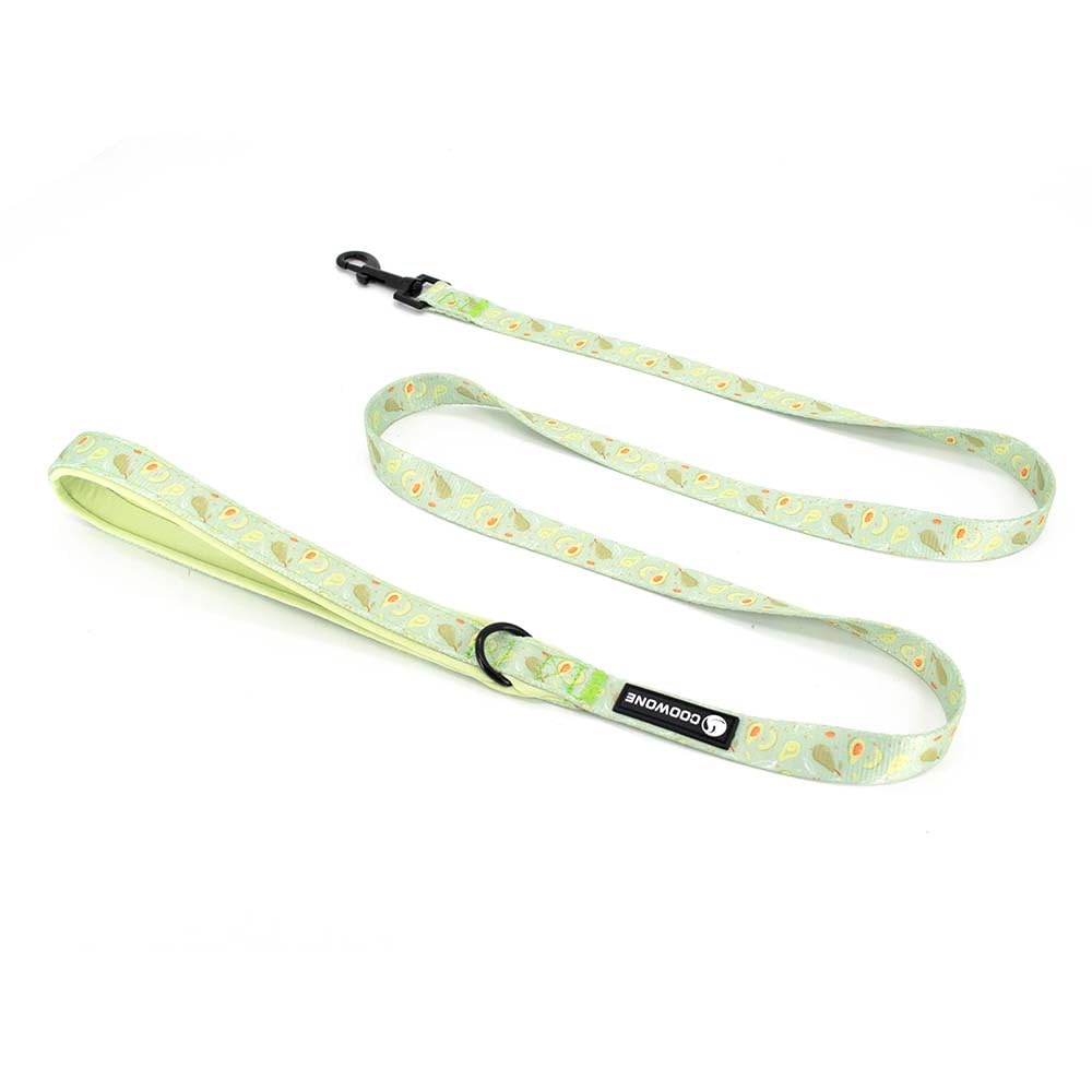 COOWONE walking-training-set in action shows patterned harness in real-life stroll
