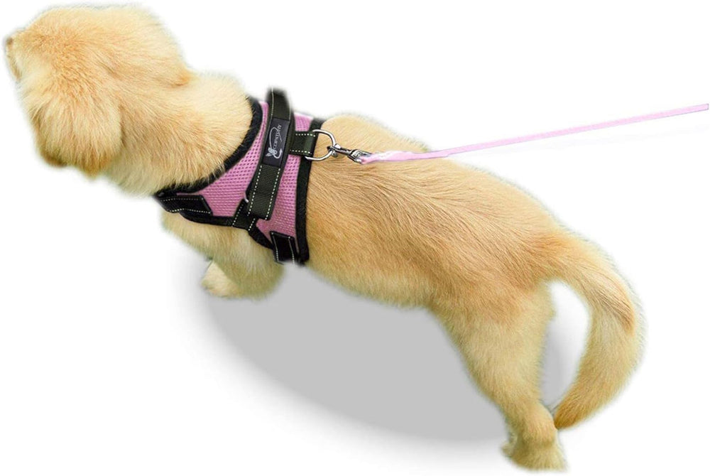 Copatchy arnés color rosa: estilo y confort para tu mascota.