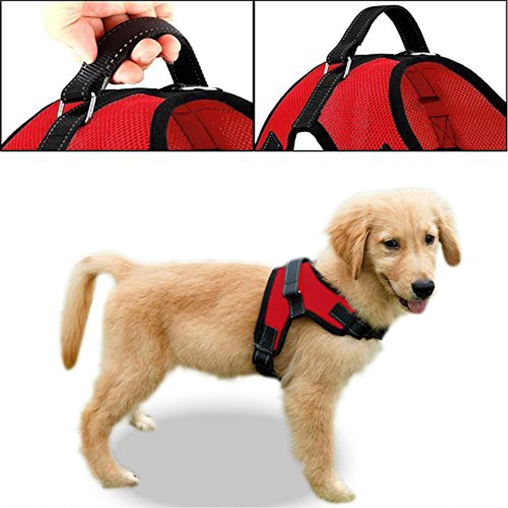 Arnés Copatchy para paseos diarios en todo el año en rojo.