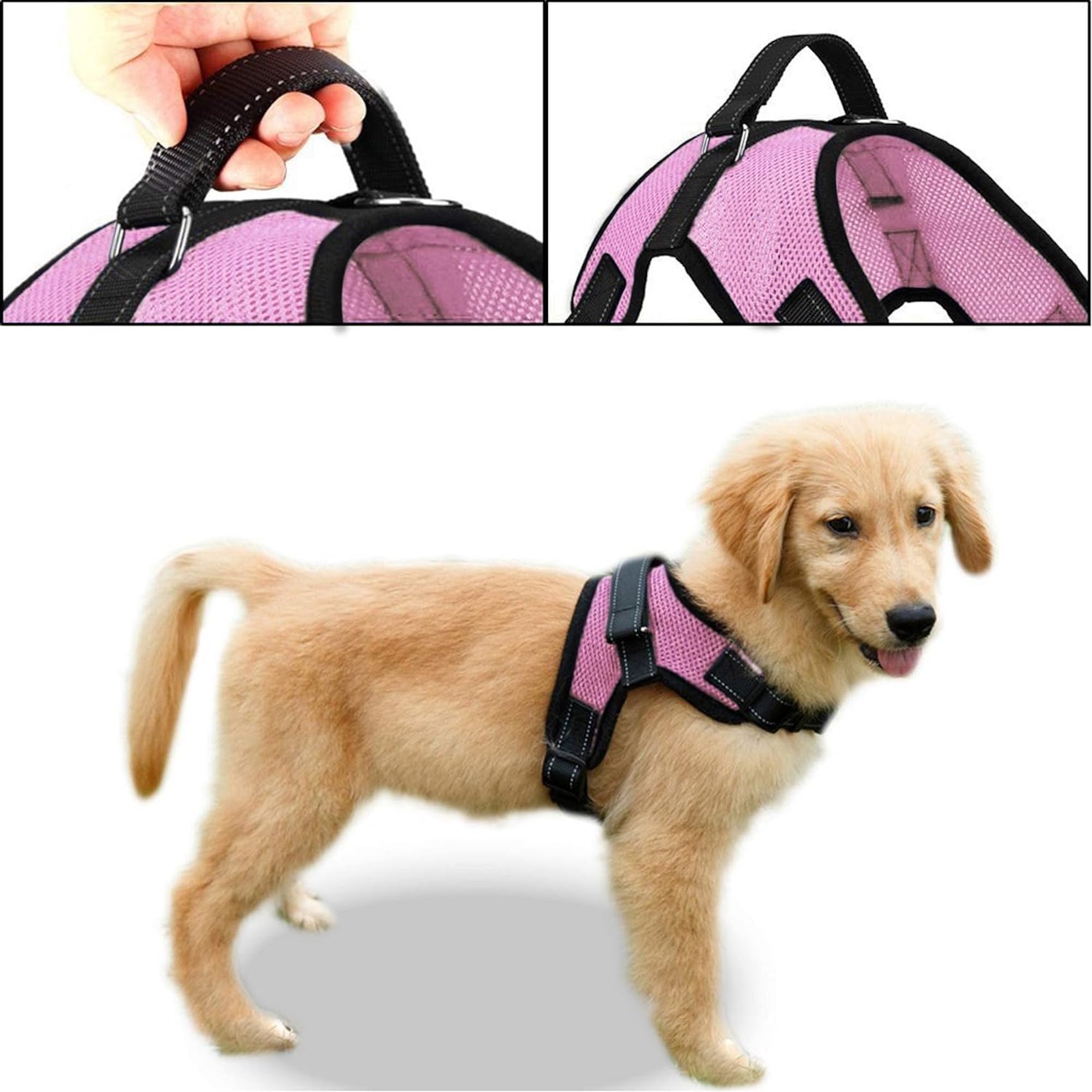 Asa superior Copatchy arnés rosado talla XS para manejo adicional
