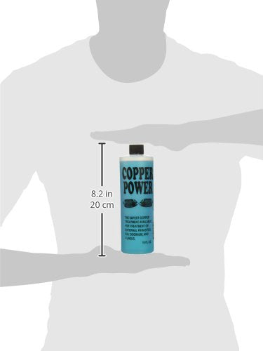 Copper Power Endich ACP0016B blue treatment in aquarium demonstrates marine fish care use