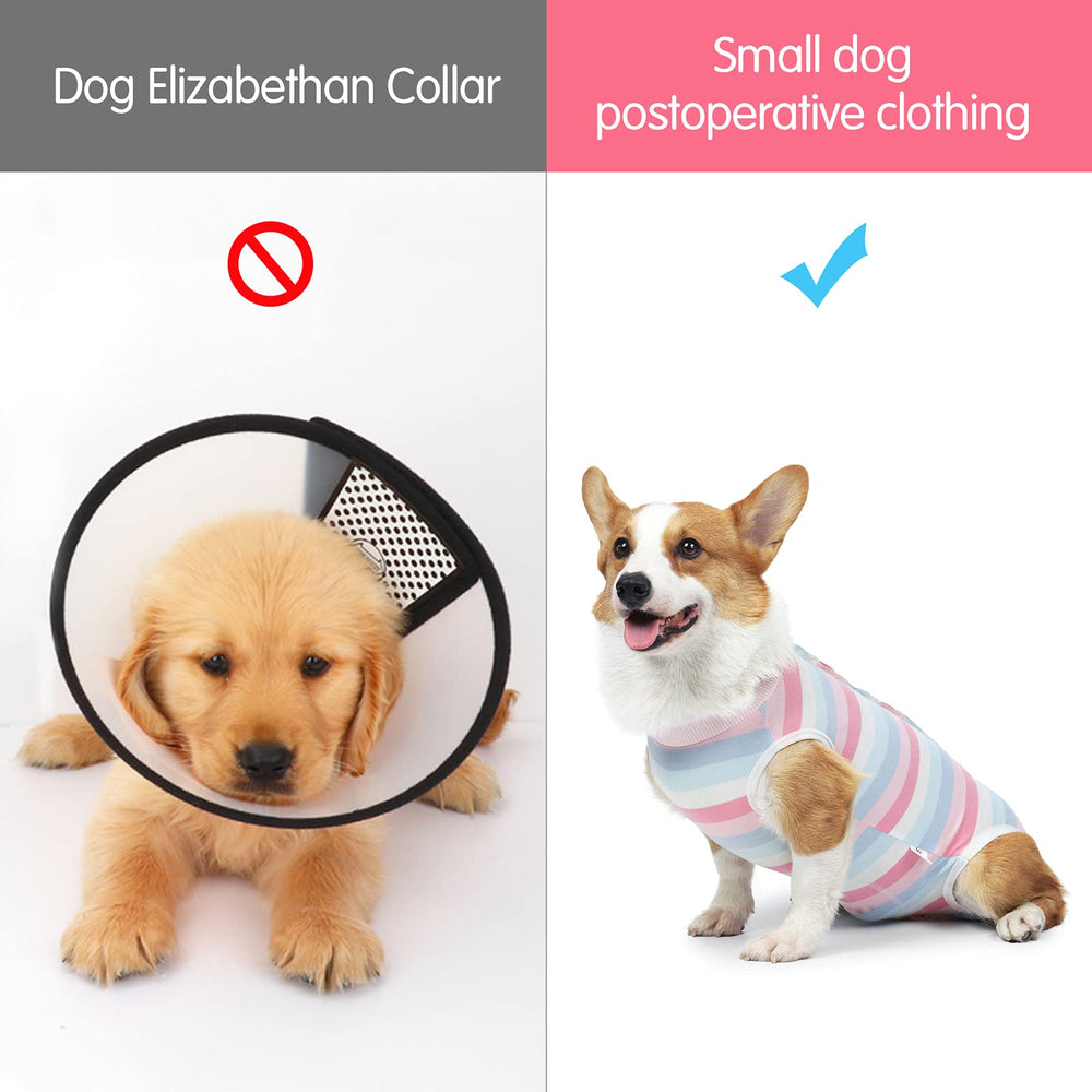 Coppthinktu ajuste universal para perros machos y hembras, cómodo