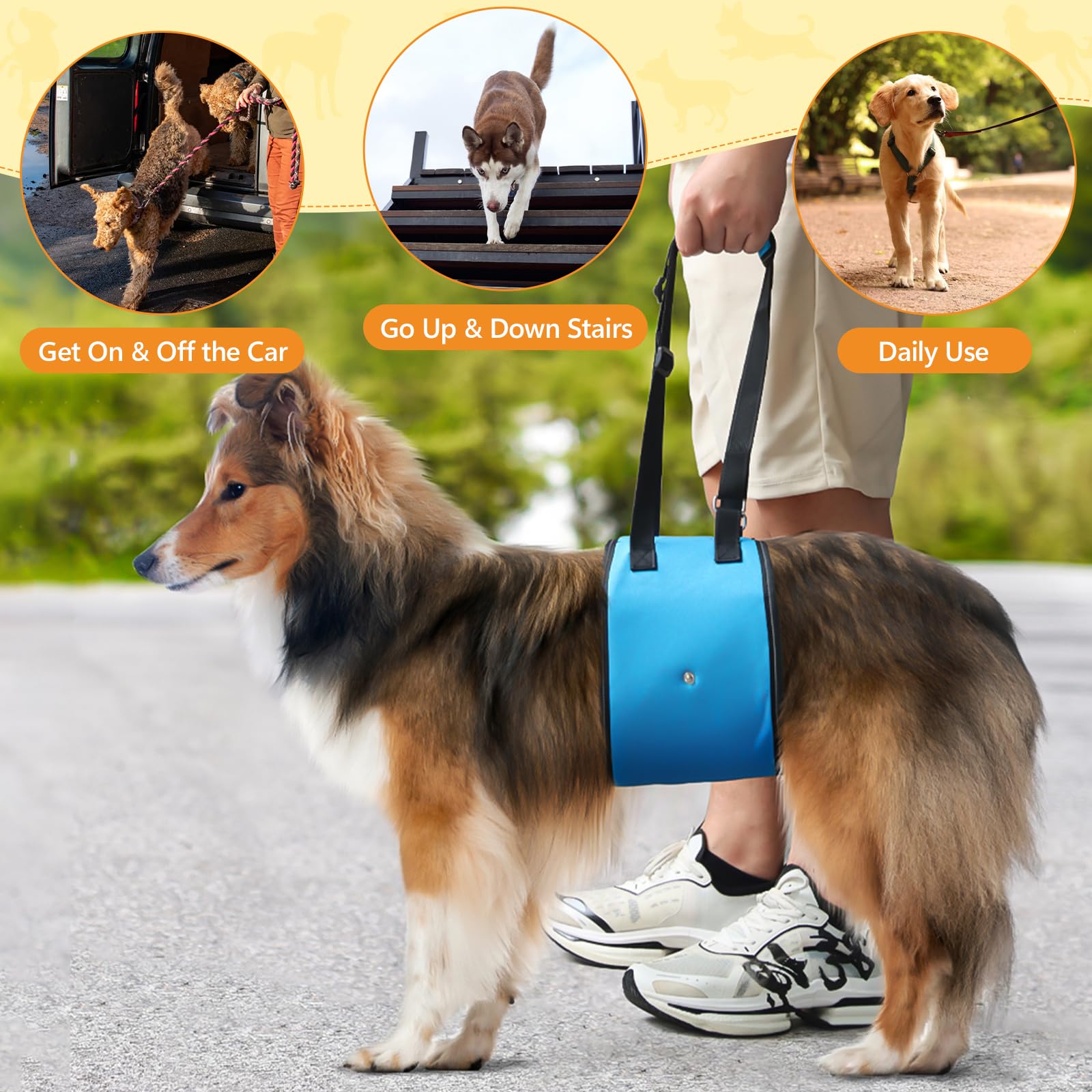Coppthinktu dog lift harness helps easy car entry and exits