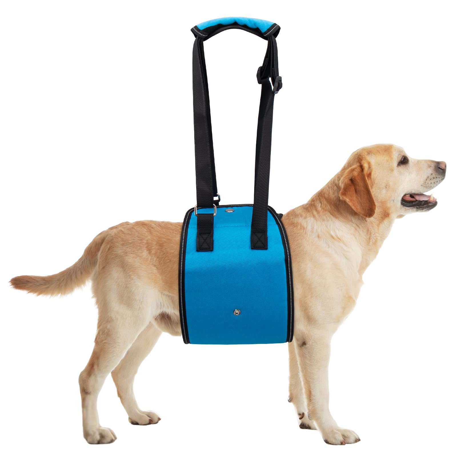 Coppthinktu dog lift harness front view for confident steps