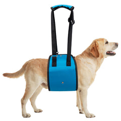 Coppthinktu dog lift harness front view for confident steps