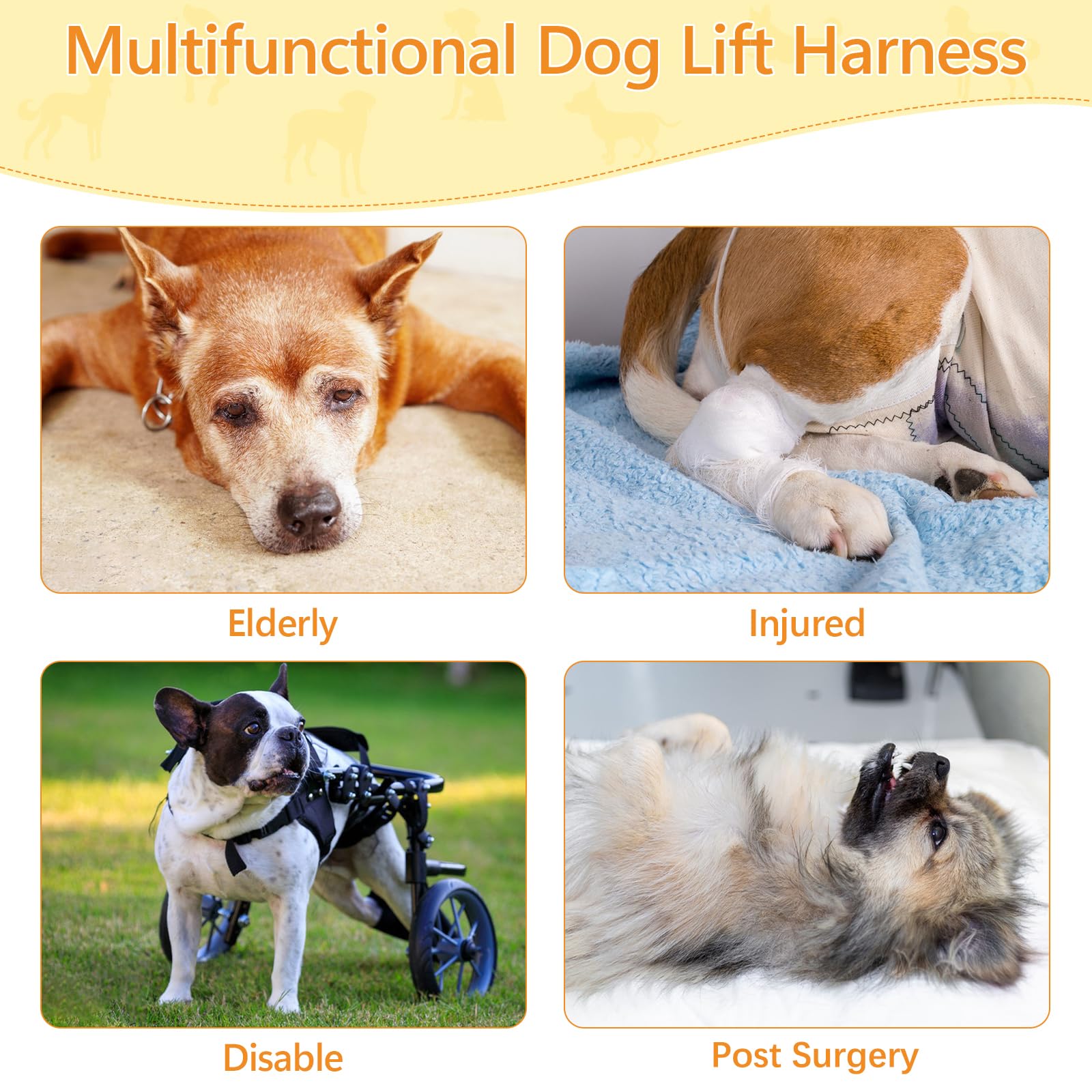 Coppthinktu dog lift harness rear view supports hind-end mobility