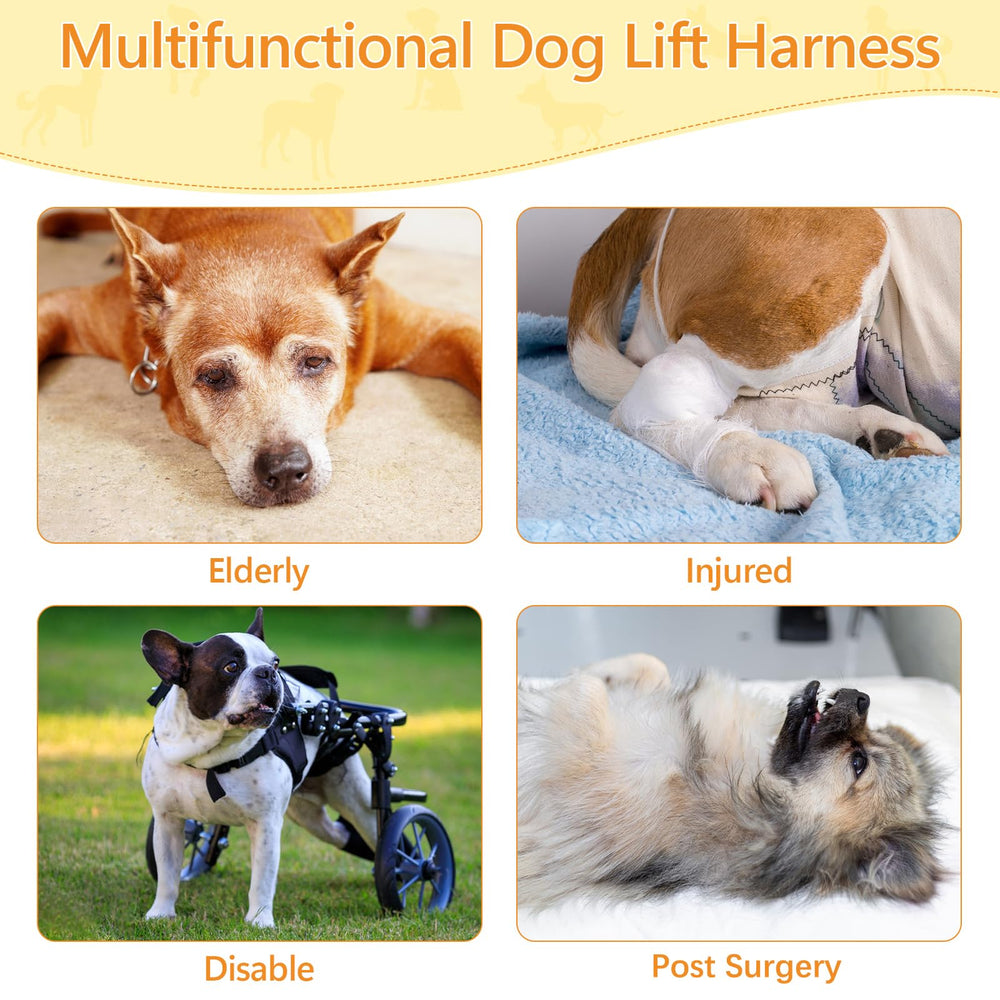 Coppthinktu dog lift harness rear view supports hind-end mobility