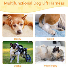Coppthinktu dog lift harness rear view supports hind-end mobility