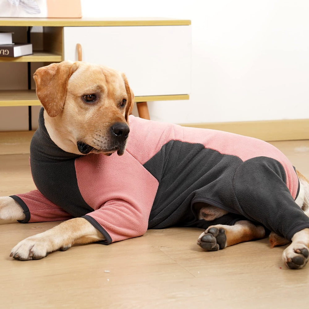 Coppthinktu pink dog coat photographed for holiday photos and memories