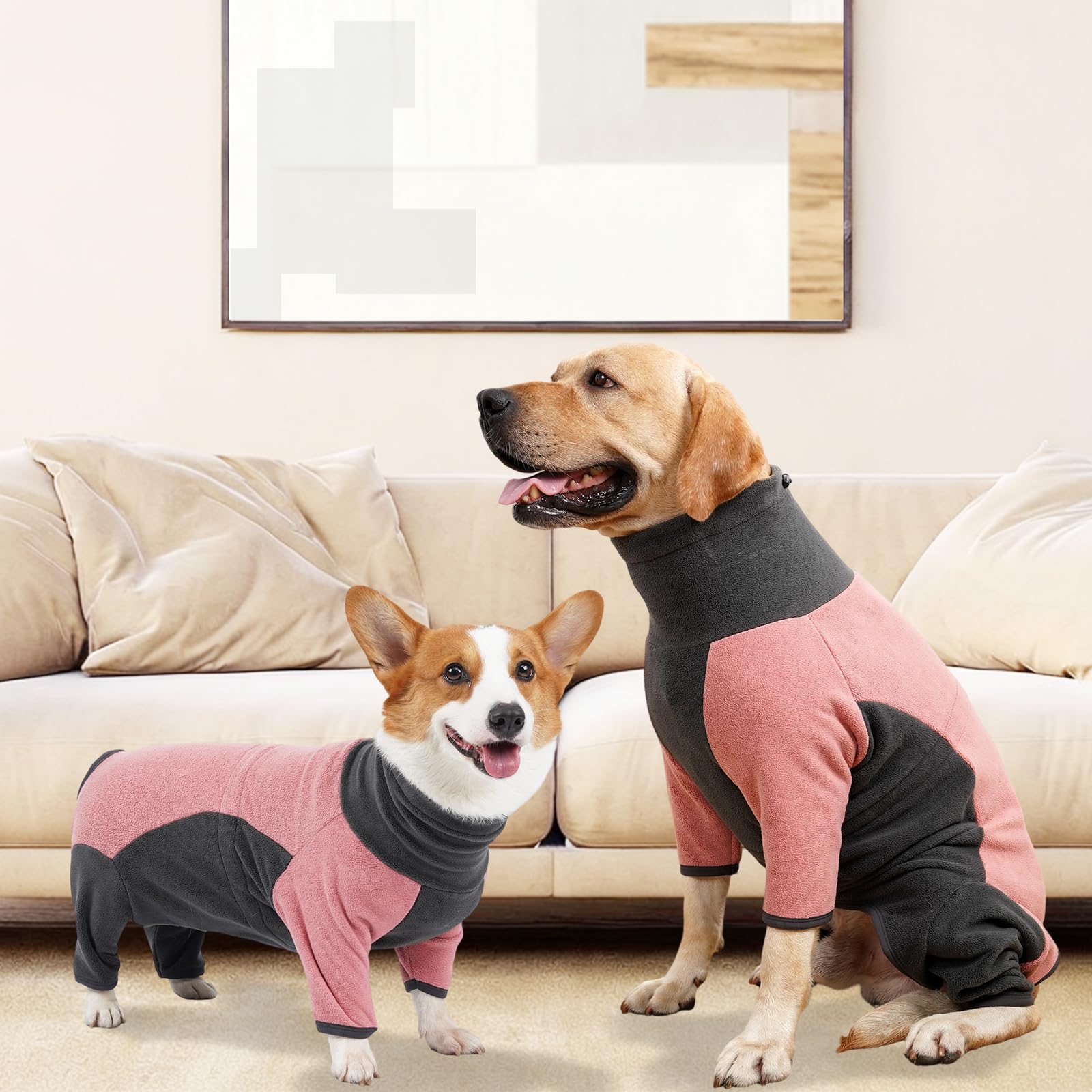 Coppthinktu cozy coat kept dog comfortable indoors and outdoors