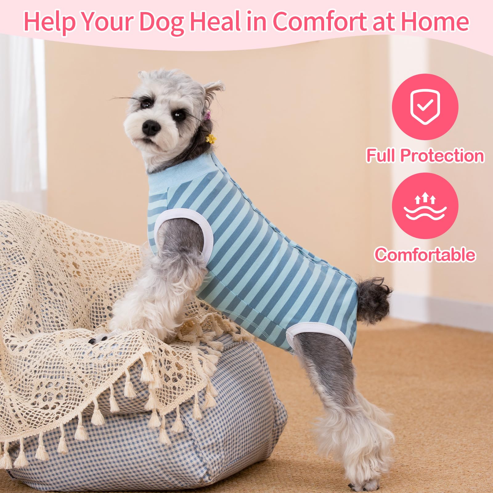 Coppthinktu Recovery Suit provides anti-licking protection around the surgical area