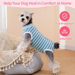 Coppthinktu Recovery Suit provides anti-licking protection around the surgical area