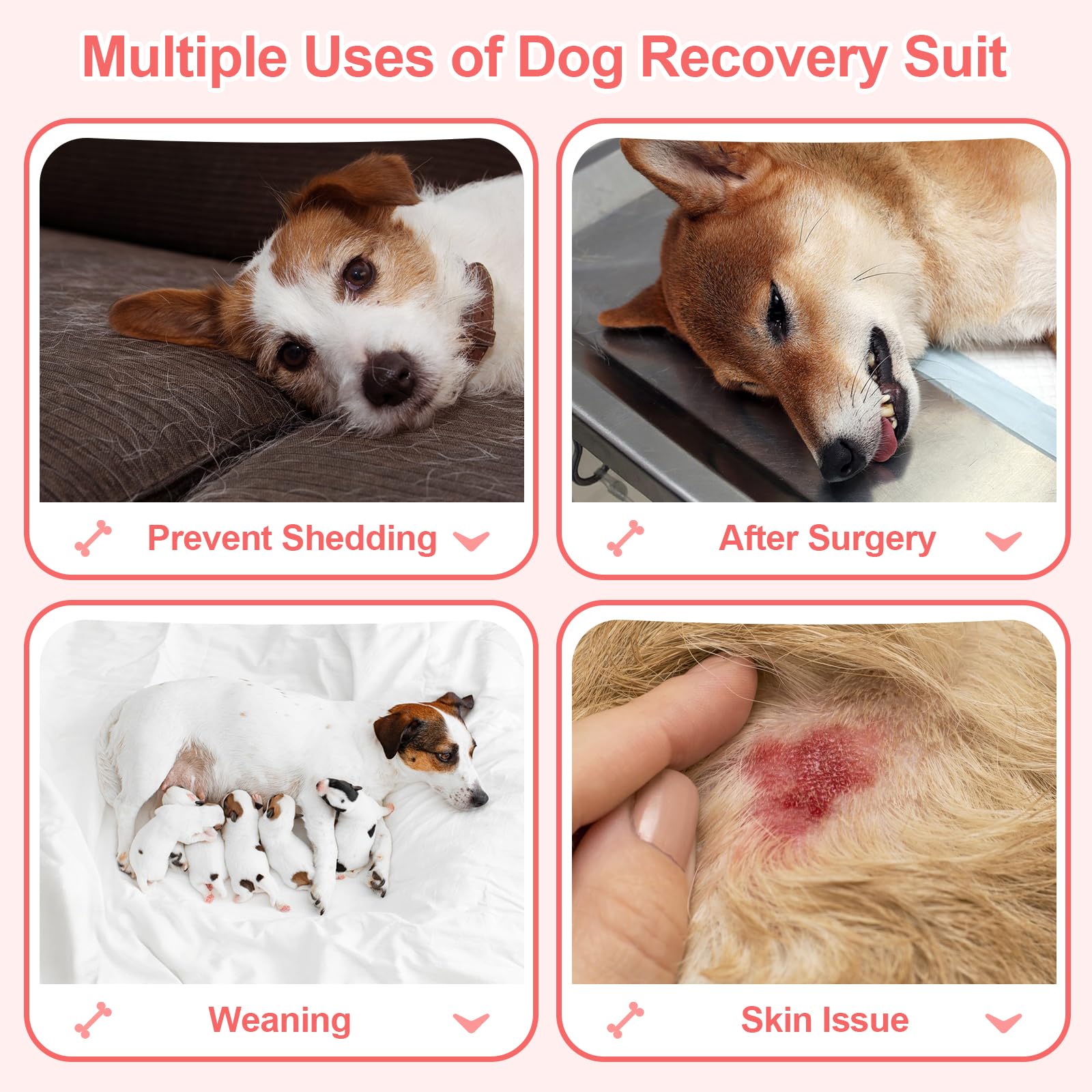 Coppthinktu recovery suit dog back view demonstrates full coverage and ease of movement
