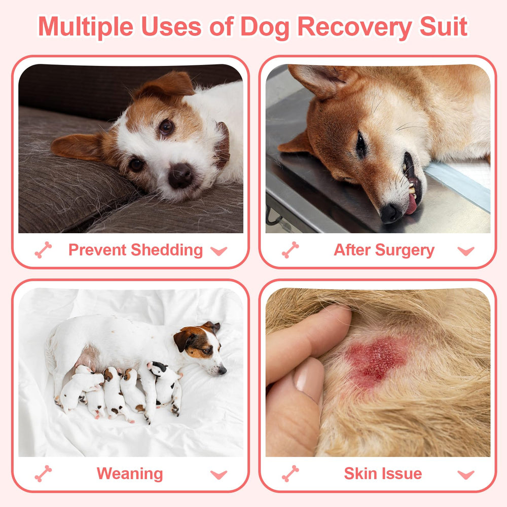 Coppthinktu recovery suit dog back view demonstrates full coverage and ease of movement