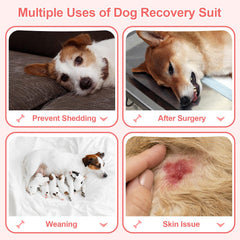 Coppthinktu recovery suit dog back view demonstrates full coverage and ease of movement
