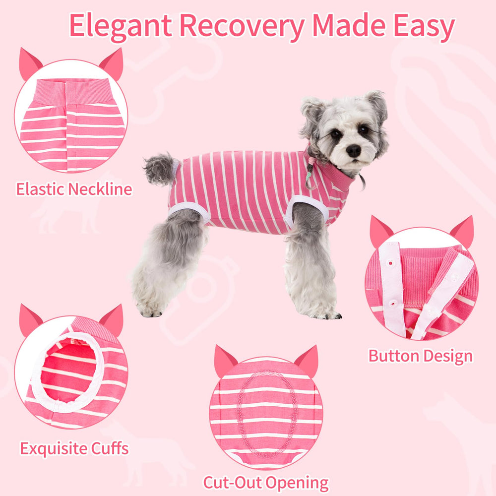 Coppthinktu recovery suit for dogs blue back view, barrier against licking for faster comfort