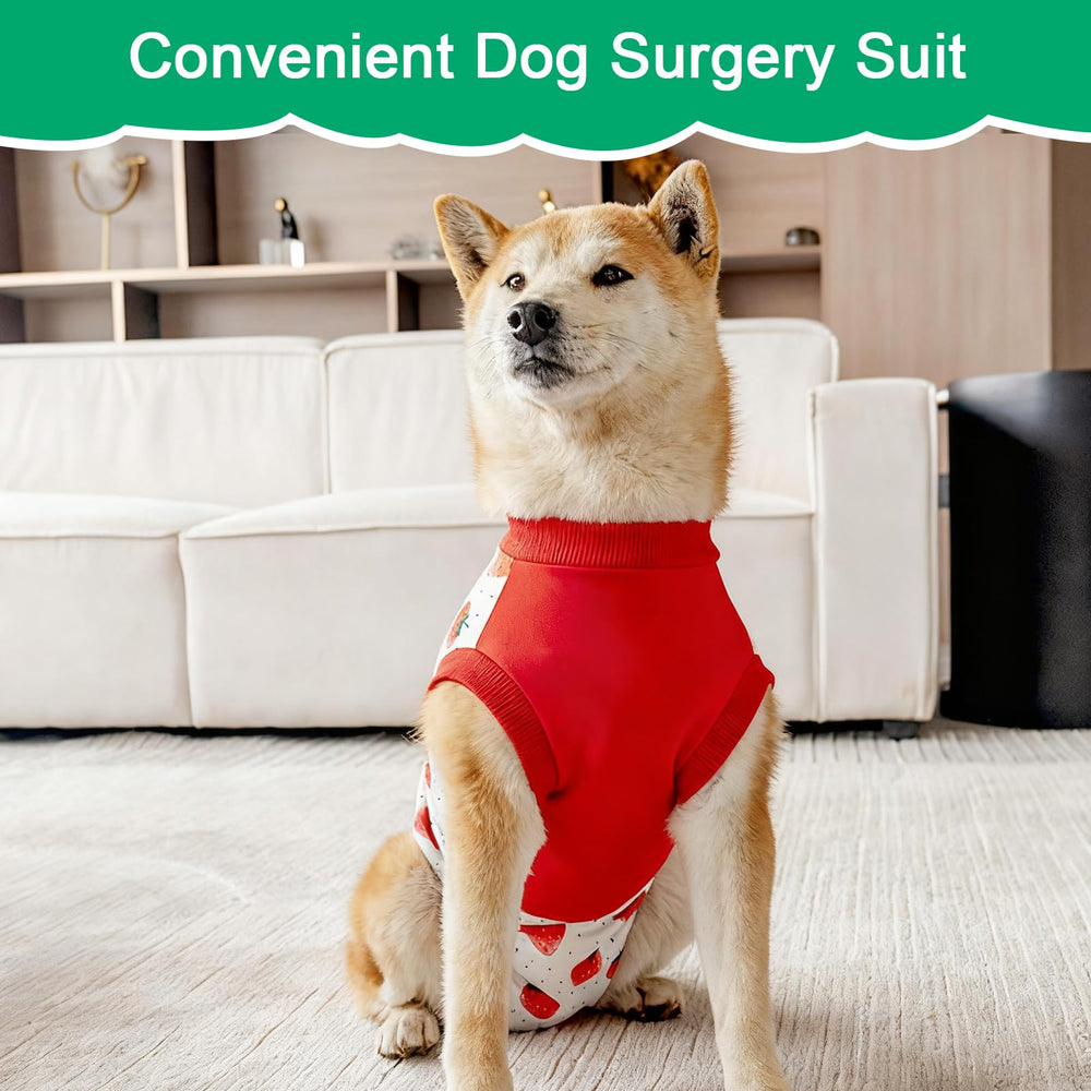 Coppthinktu traje con patrón dinosaurios para mantener cómodo al perro en casa