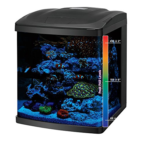 Coralife BioCube assembled tank setup showcases a complete, compact ecosystem