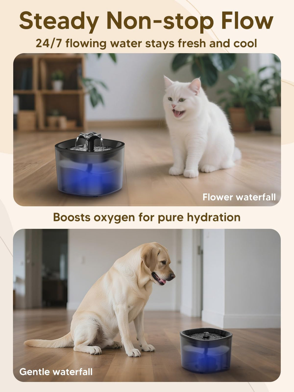 CORGOTE stainless steel bowl ensures hygienic pet dining