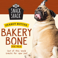 Cosmo's Snack Shack Peanut Butter Bakery Bone closeup highlights natural texture and aroma