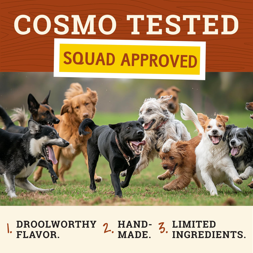 Cosmo's Snack Shack Peanut Butter Bakery Bone dog-size chew for all ages