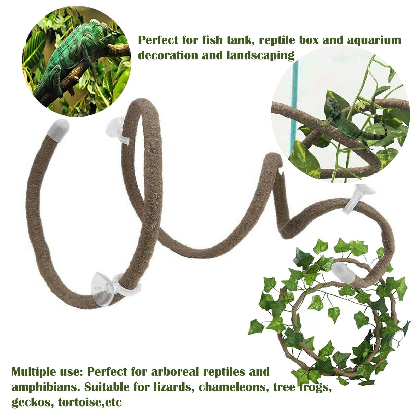 COSOC leaves in gecko tank add foliage and hiding spots