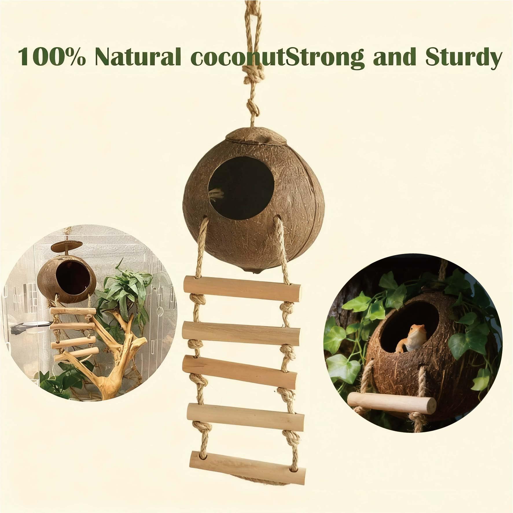 COSOC Leopard Gecko Hammock offers soft seagrass support for lounging