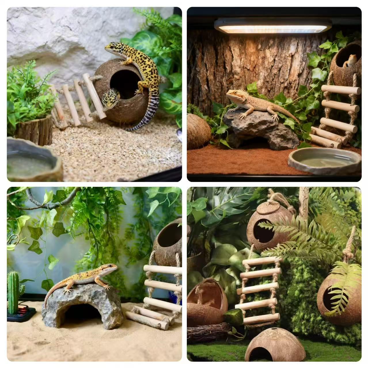 COSOC Leopard Gecko Leaves provide camouflage and tactile variety