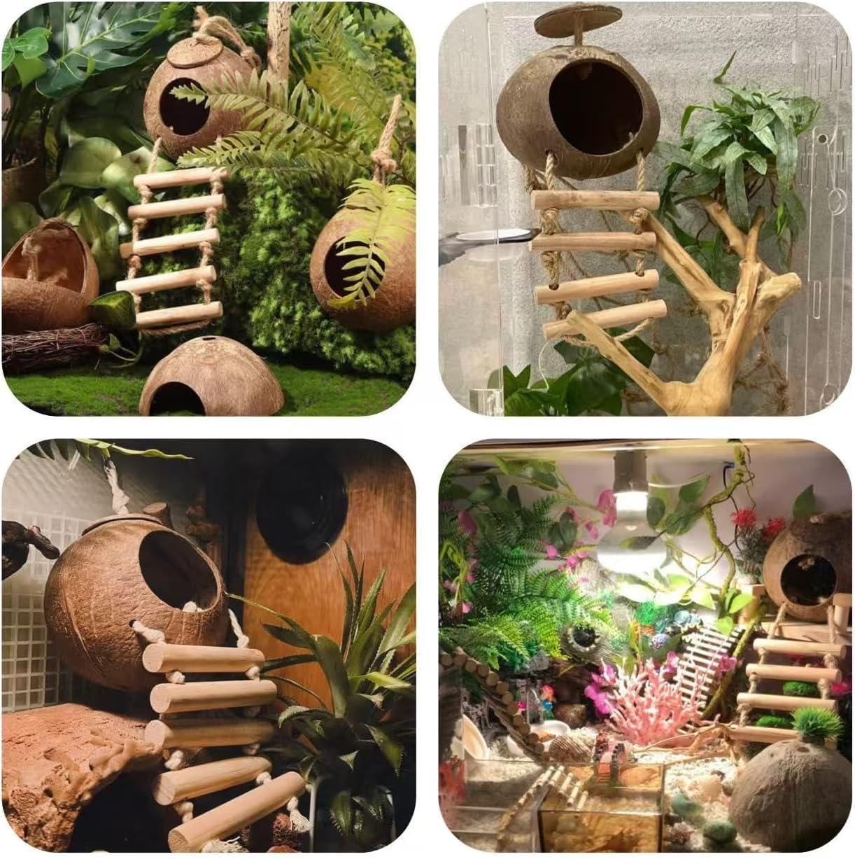 COSOC Leopard Gecko Water Grass Balls add visual appeal and snacks