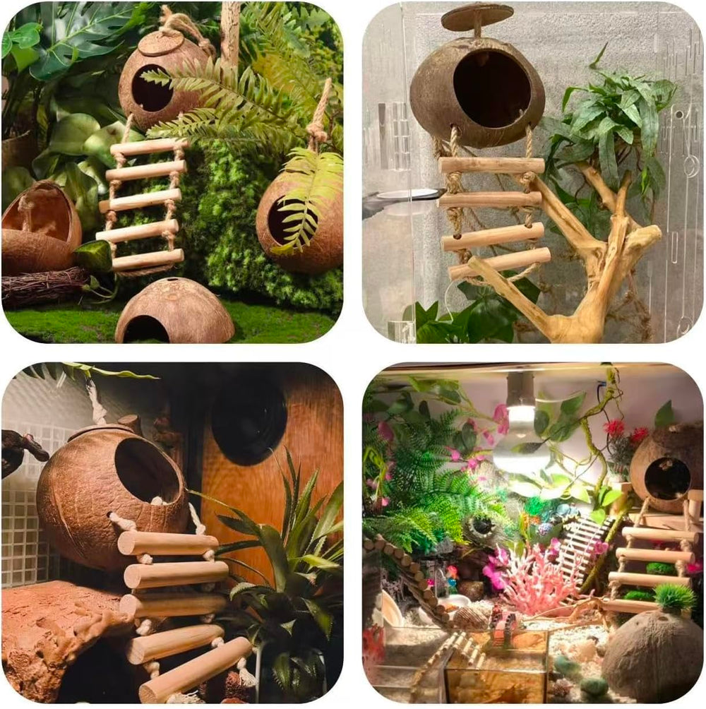 COSOC Leopard Gecko Water Grass Balls add visual appeal and snacks
