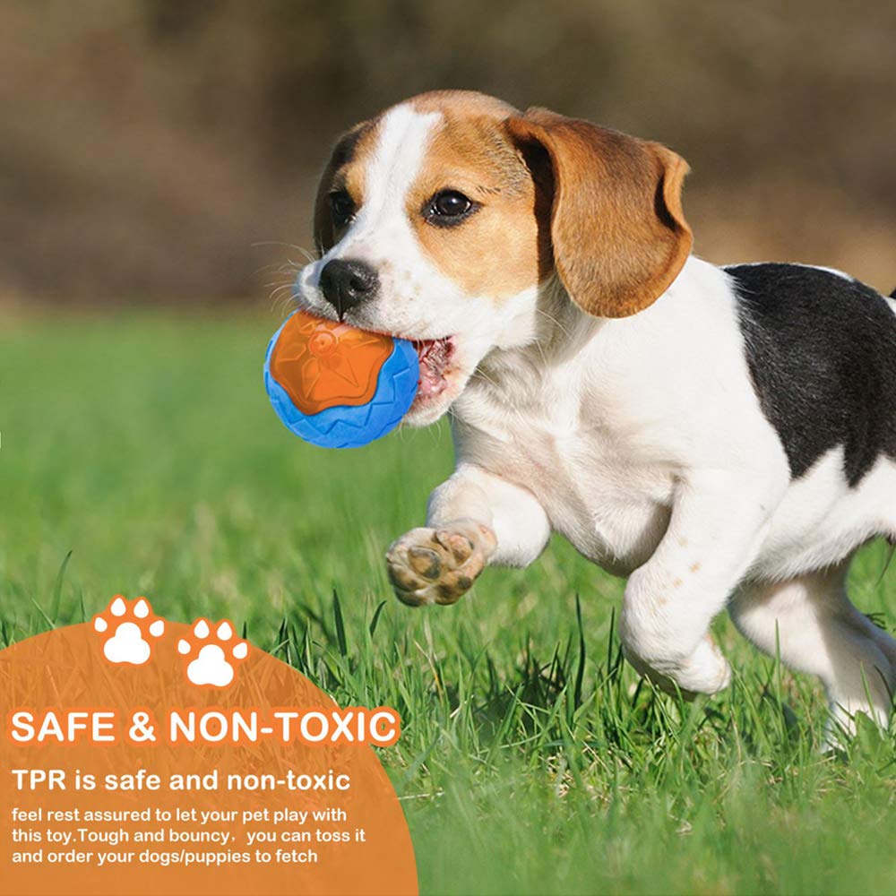 CoubonTail rugby-squeaky-toy offers durable outdoor fetch fun