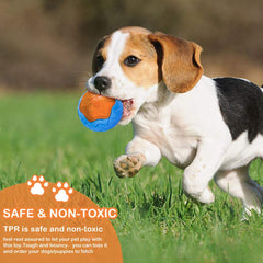 CoubonTail rugby-squeaky-toy offers durable outdoor fetch fun
